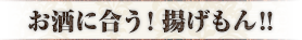 お酒に合う！揚げもん!!